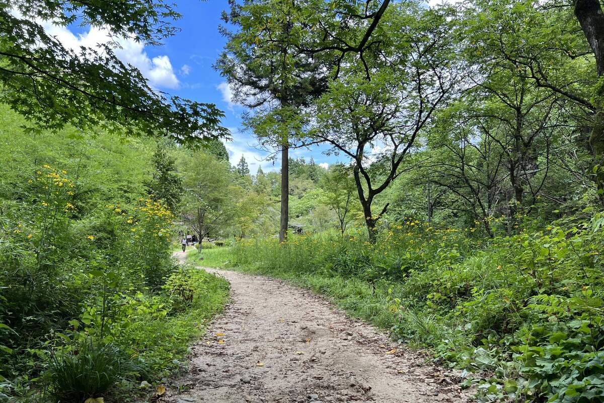 Small path